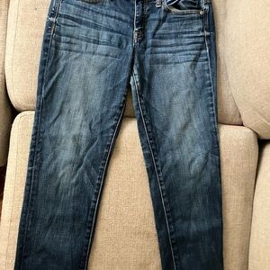 American Eagle Outfitters Dark Blue Skinny Jeans
